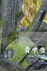 晋中咨询代办逾期申报哪家好 晋中咨询代办逾期申报哪家好
