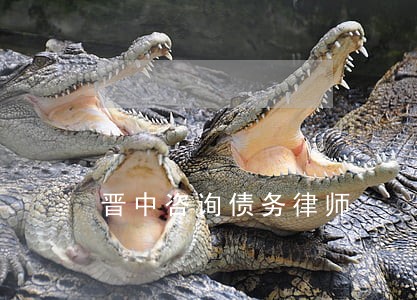 晋中咨询债务律师