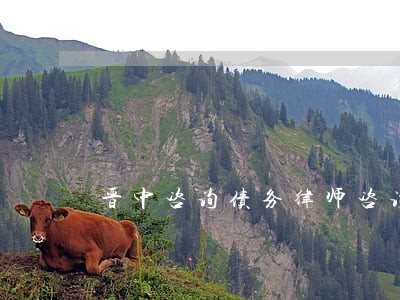 晋中咨询债务律师咨询费多少 晋中咨询债务律师咨询费多少