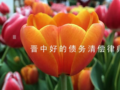 晋中好的债务清偿律师咨询费多少