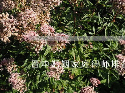 晋中婚姻家庭律师排名 晋中婚姻家庭律师排名