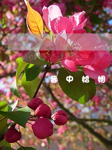晋中婚姻继承律师价位 晋中婚姻继承律师价位