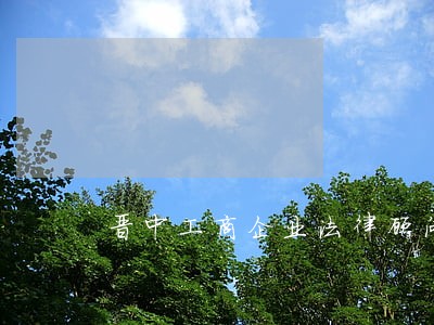 晋中工商企业法律顾问 晋中工商企业法律顾问