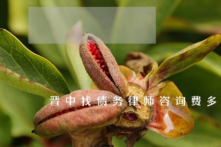 晋中找债务律师咨询费多少 晋中找债务律师咨询费多少