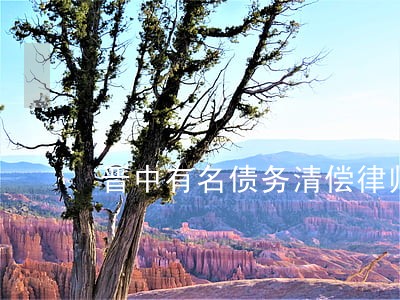 晋中有名债务清偿律师收费多少 晋中有名债务清偿律师收费多少
