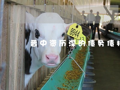 晋中资历深的债务债权律师 晋中资历深的债务债权律师
