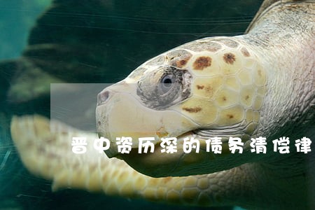 晋中资历深的债务清偿律师谁家好 晋中资历深的债务清偿律师谁家好