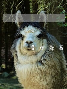 晋中资深刑事律师顾问 晋中资深刑事律师顾问