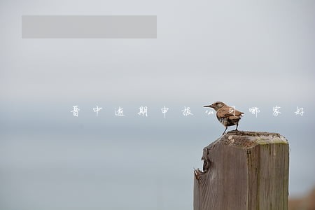 晋中逾期申报公司哪家好