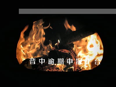 晋中逾期申报平台