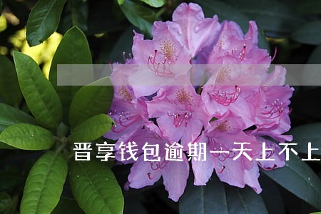 晋享钱包逾期一天上不上征信 晋享钱包逾期一天上不上征信