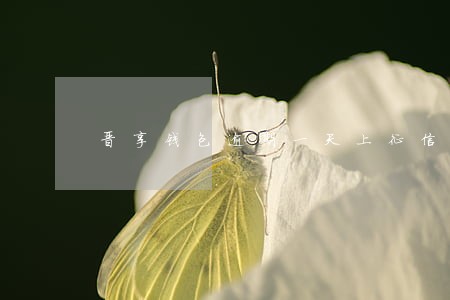 晋享钱包逾期一天上征信吗 晋享钱包逾期一天上征信吗