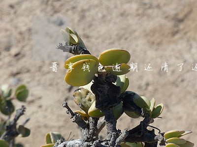 晋享钱包逾期还清了还能借吗 晋享钱包逾期还清了还能借吗