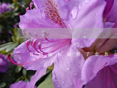 晋响钱包逾期了会怎么样 晋响钱包逾期了会怎么样