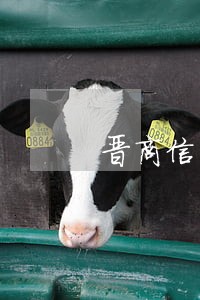 晋商信用卡逾期6天