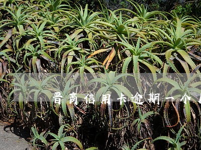 晋商信用卡逾期一个月 晋商信用卡逾期一个月