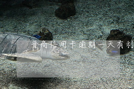 晋商信用卡逾期一天有利息吗