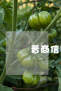 晋商信用卡逾期去我单位合法 晋商信用卡逾期去我单位合法