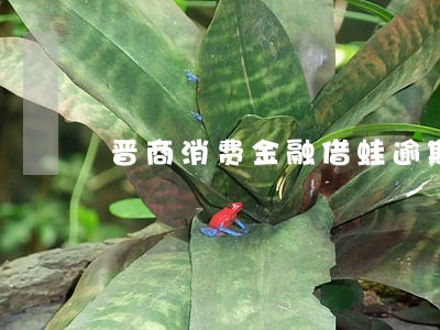晋商消费金融借蛙逾期一天 晋商消费金融借蛙逾期一天