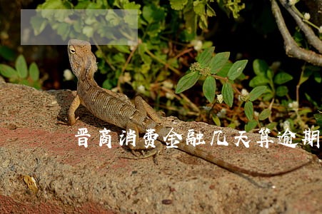 晋商消费金融几天算逾期 晋商消费金融几天算逾期