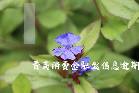 晋商消费金融发信息逾期