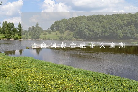 晋商消费金融多久逾期