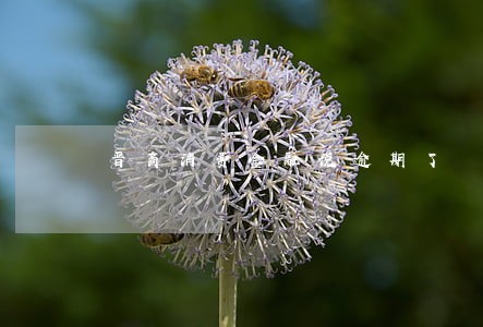 晋商消费金融说逾期了 晋商消费金融说逾期了