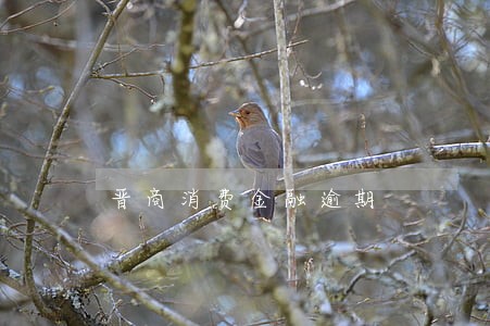 晋商消费金融逾期 晋商消费金融逾期