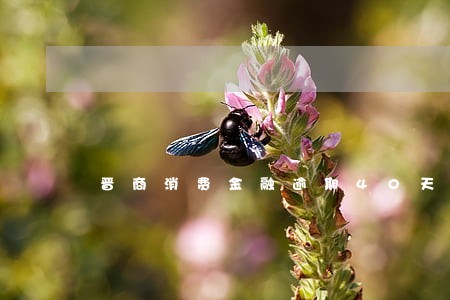 晋商消费金融逾期40天