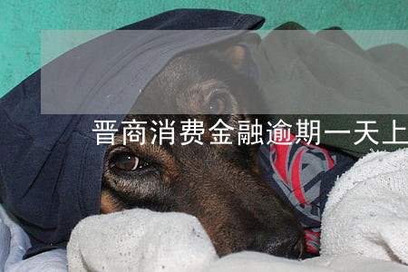晋商消费金融逾期一天上征信 晋商消费金融逾期一天上征信