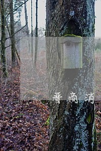 晋商消费金融逾期不还 晋商消费金融逾期不还