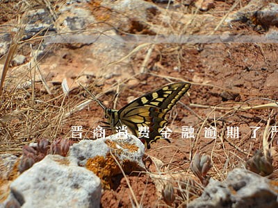 晋商消费金融逾期了严重吗 晋商消费金融逾期了严重吗