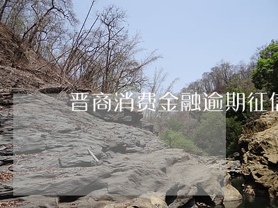 晋商消费金融逾期征信 晋商消费金融逾期征信