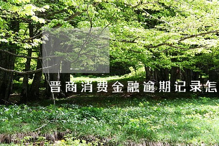 晋商消费金融逾期记录怎么消除 晋商消费金融逾期记录怎么消除