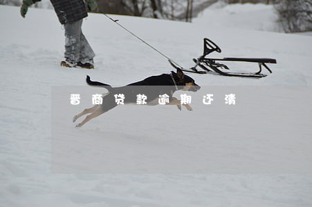晋商贷款逾期还清 晋商贷款逾期还清