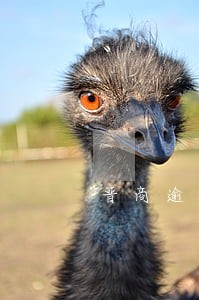 晋商逾期会上家来吗 晋商逾期会上家来吗