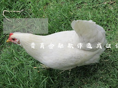 晋商金融欺诈造成征信逾期 晋商金融欺诈造成征信逾期