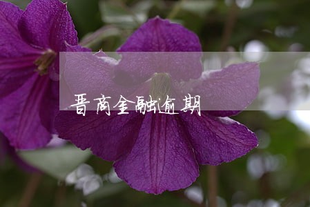 晋商金融逾期 晋商金融逾期