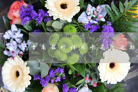 晋商银行信用卡还款逾期一天