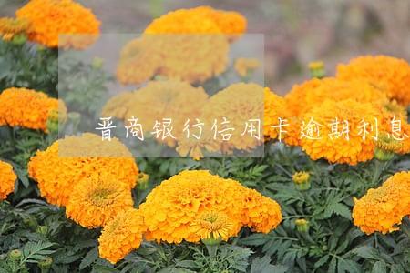 晋商银行信用卡逾期利息咋算 晋商银行信用卡逾期利息咋算