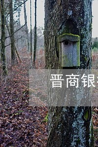 晋商银行卡易贷逾期 晋商银行卡易贷逾期