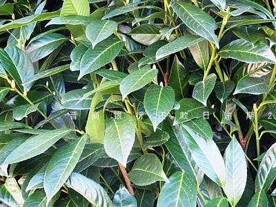 晋商银行还款日逾期2日怎么办 晋商银行还款日逾期2日怎么办