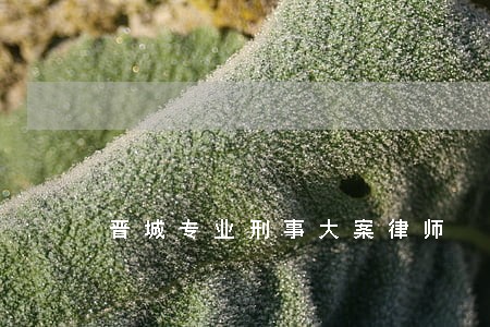 晋城专业刑事大案律师 晋城专业刑事大案律师