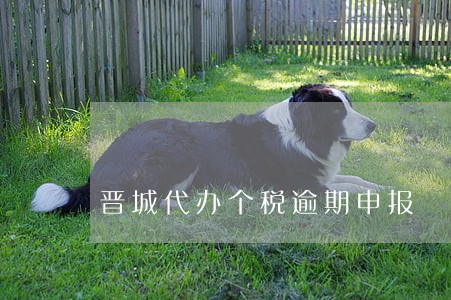 晋城代办个税逾期申报 晋城代办个税逾期申报