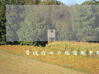 晋城代办个税逾期申报机构哪家好
