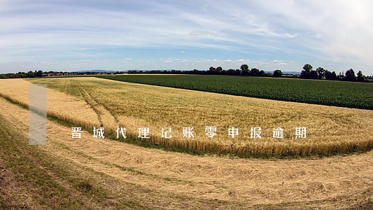 晋城代理记账零申报逾期 晋城代理记账零申报逾期