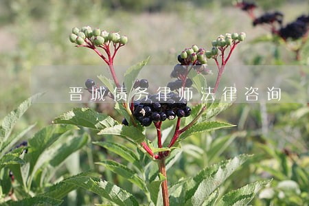 晋城债务律师法律咨询 晋城债务律师法律咨询
