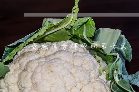 晋城债务律师联系方式 晋城债务律师联系方式