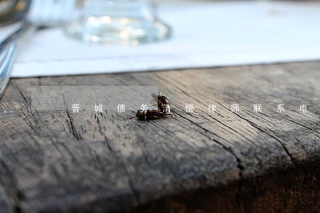 晋城债务清偿律师联系电话 晋城债务清偿律师联系电话