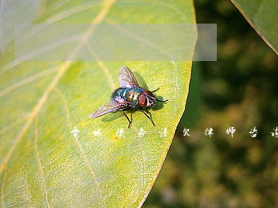 晋城债务清欠律师咨询